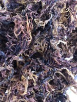 100% naturel violet mousse de mer mousse irlandaise séchée algues Laver prêt pour l'exportation Logo personnalisable Direct Vietnam fournisseur/ANNA DO