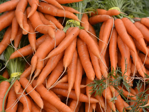 Fournisseur de légumes frais Carottes fraîches Meilleur prix Carottes Nouvelle récolte Carottes rouges - Product Image 5