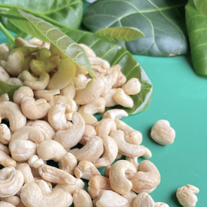 ถั่วเม็ดมะม่วงหิมพานต์จากเวียดนามมี Ww320 Ww240 Ww180ไม่เสียภาษี - Product Image 1