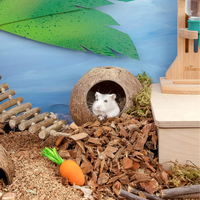 Vente en gros de lit de maison de hamster en cabane de noix de coco naturelle pour décor de cage de petit animal prix bon marché du Vietnam