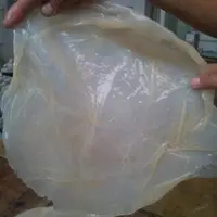 Cannonball Jelly Fish salado hecho ensaladas agridulces delicioso olor a captura en bolsa de vacío Preservación a largo plazo Mariscos - Product Image 3