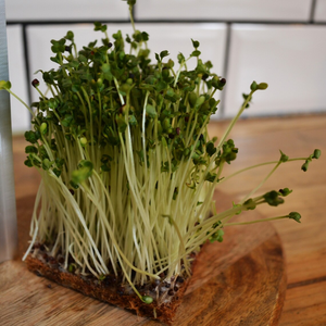 เสื่อใยมะพร้าวทำจาก2025แผ่นปูรองปลูกใยธรรมชาติย่อยสลายได้ทางชีวภาพผลิตจากเวียดนาม - Product Image 6