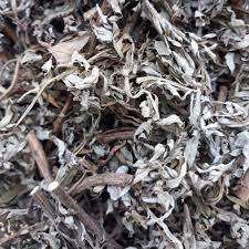 Mugwort แห้งที่มีคุณภาพสูงสำหรับการส่งออกในปริมาณมาก - Product Image 4