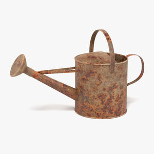 Arrosoir décoratif en métal galvanisé et fer argenté de haute qualité avec bec amovible - Product Image 4