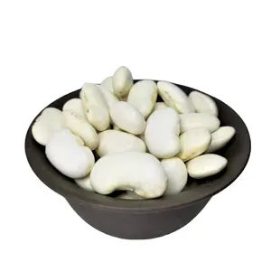 出口优质大白芸豆，新作物可供销售