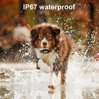 Système de clôture invisible sans fil GPS en plastique pour chien, clôture géolocalisée polygonale, contrôle par application, collier de dressage et de confinement pour animaux de compagnie