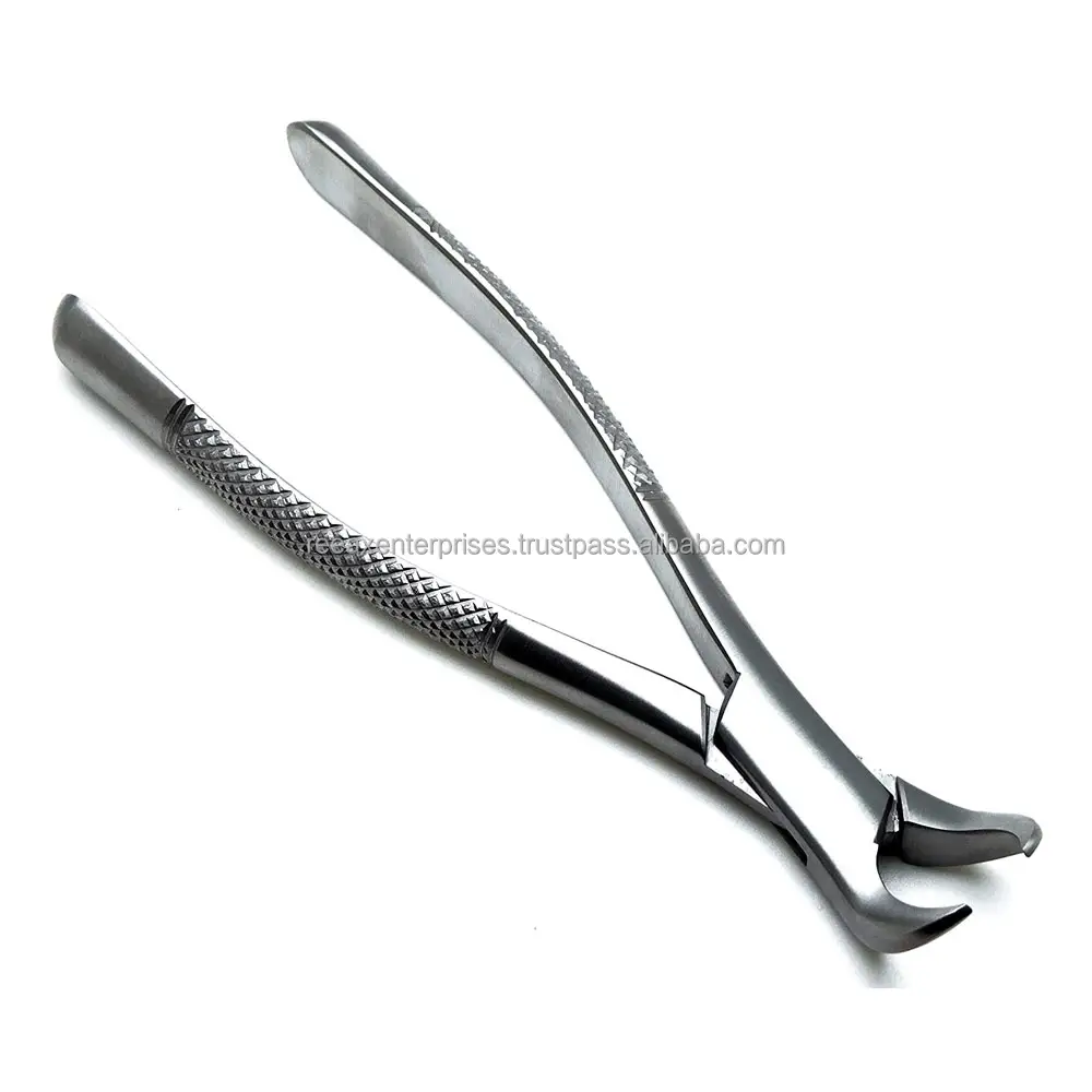 Best Selling Dental Extraction Forceps High Quality Dental Equipment Extracting Forceps English Pattern