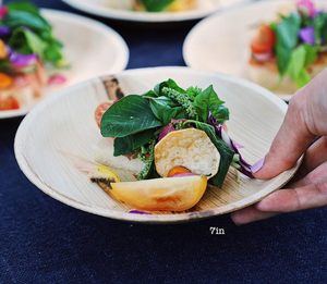 Platos Biodegradables de 8 Pulgadas con Diseño de Hoja de Palma Areca, Aptos para Alimentos, Aptos para Microondas, Estilo Zen Asiático para Hoteles - Product Image 3