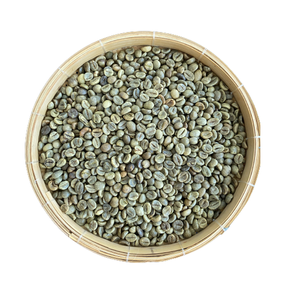 Grains de café Robusta de haute qualité Remise du Vietnam Écran poli humide SC16/SC18 Grains de café polis non lavés/propres/humides ANNA - Product Image 1