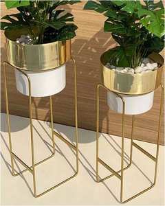 Macetas de Hierro Cromado de Diseño Creativo para Interiores y Exteriores con Soporte para Decoración de Jardín en el Hogar y Hoteles (Personalizables) - Product Image 6