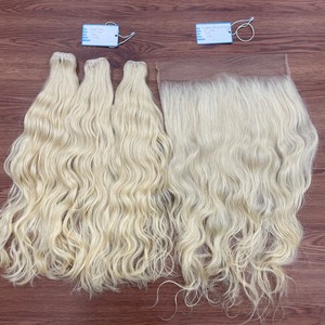 Vietnamese Human Hair Extensions Weft Colored Straight Hair 100% Raw Vietnamese Hair - Product Image 1