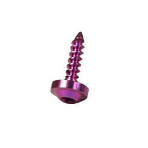 สกรูเกลียวปล่อยหัวทอร์กซ์ไทเทเนียม M8 สำหรับรถจักรยานยนต์ - Product Image 1