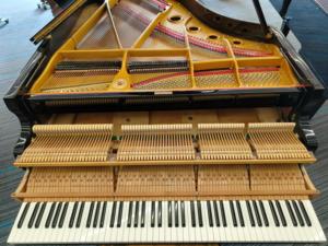 AIZENAH NP6 Piano de estudio profesional de 88 teclas, de madera maciza, con teclas digitales contrapesadas de martillo, sonido híbrido, de segunda mano para escenario - Product Image 5