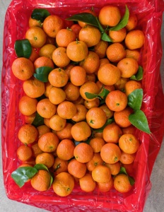 Naranja Shatang Fresca de Nueva Cosecha, Fruta Dulce, Naranja Santang, Naranja Mandarina Fresca - Product Image 4