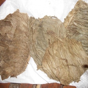 Tripa de vaca fresca congelada, alta en proteínas, para exportación a granel - Product Image 3