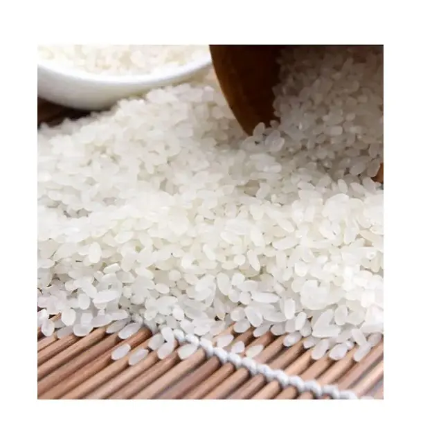 Tipo de cultivo común de color blanco Arroz de grano corto Arroz japonés suave de alta calidad Origen de Vietnam