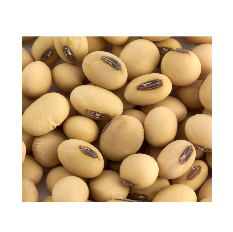 Wholesale Organic Non-Gmo Soyabean Yellow Soybean Soja Soya Beans