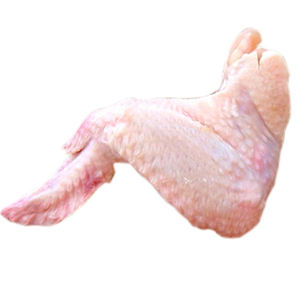 ปีกไก่ฮาลาล 3 ข้อ คุณภาพเยี่ยม เกรด AA ออร์แกนิค แช่แข็ง สำหรับแปรรูปจำนวนมาก - Product Image 4