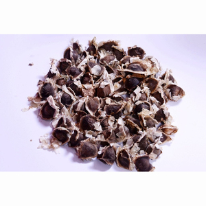 Polvo de Extracto de Hoja y Semilla de Moringa Herbal, Verde Claro, Origen Bélgica, 12 Meses de Duración - Product Image 1