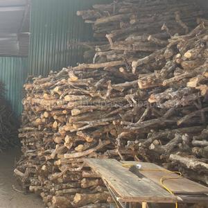 Jouet à mâcher en bois pour gorilles, pour mâcheurs agressifs, bouchées sûres pour le nettoyage dentaire, favorise une mastication saine, soulage l'anxiété - Product Image 5