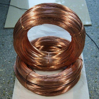 Alambre CCAM Electrochapado de 0.1-1.2 mm; Núcleo Conductor para Transmisión de Energía con Servicio de Corte