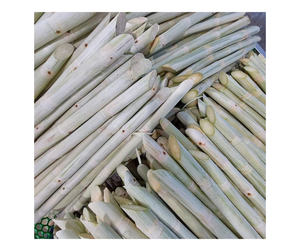 Palitos de caña de azúcar congelados de primera calidad, caña de azúcar dulce de Vietnam, cantidades a granel, exportación, mejor precio, jugo de caña de azúcar congelado, oferta de venta superior - Product Image 6