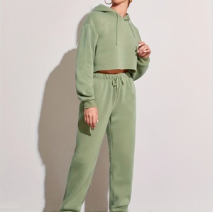 Bajo MOQ al por mayor de 2 piezas de algodón conjuntos de ropa de mujer chándal ropa de calle Loungewear Casual sudaderas con capucha conjunto para mujer - Product Image 6