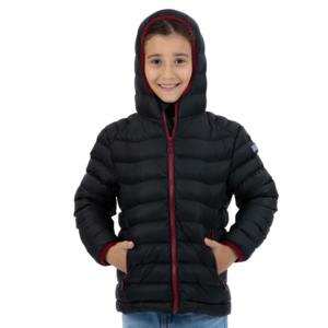 Manteau d'hiver matelassé en toile de qualité professionnelle, à capuche, décontracté et chaud, style streetwear, veste d'extérieur avec logo frontal - Product Image 2