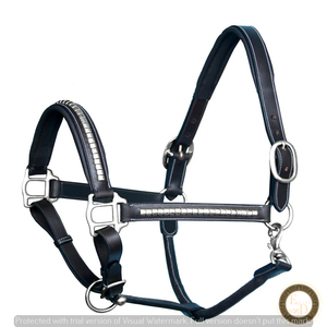 Cabestro de caballo de cuero genuino estilo inglés sillín estilo occidental cosido acabado níquel latón SS accesorios acolchado Noseband tocado - Product Image 1