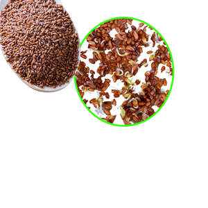 Cress | สมุนไพรครัวสด | สินค้าเกษตรอินทรีย์ - Product Image 4