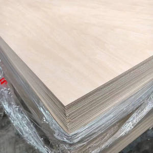 Contrachapado de Abedul de Primera Calidad con Superficie Lijada de 3-25 mm de Espesor, Ecológico, para Uso en Interiores - Product Image 5