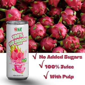Jus de Dragon Rouge Fraîchement Pressé 100% Sans Sucre, Purée de Pulpe Réelle, Boîtes de 320 ml, Vente en Gros, Marque Privée, Échantillon Gratuit, Vietnam - Product Image 2