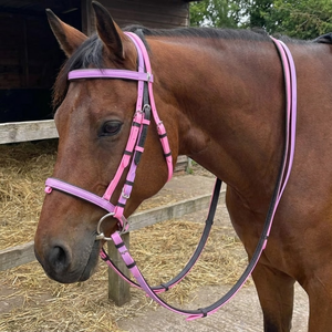 Brida de Cuero Occidental para Caballo |   Equipo de Equitación Ajustable, Duradero y de Primera Calidad |   Equipo Ecuestre Cómodo y Elegante para Caballos - Product Image 2