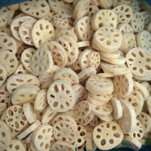 Raíces de Loto Frescas de Vietnam Directamente de la Granja, Vegetales Naturales Limpios para la Industria Alimentaria - Product Image 2