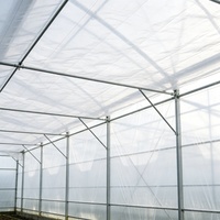 Film de serre diffuseur de lumière, résistant aux UV, en plastique, pour la culture de légumes, couverture de serre
