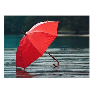 Parapluie de voyage de luxe avec tissu imperméable Un accessoire pratique et élégant pour les jours de pluie et les voyages d'affaires depuis l'Inde - Product Image 1
