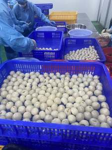 Litchi congelé IQF de qualité supérieure | Saveur tropicale naturelle - Product Image 5