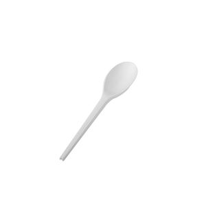 Cuillère biodégradable CPLA 165 mm, 10 paquets x 100 pièces, B2B - Product Image 1