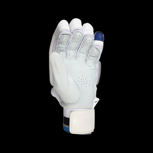 Best Selling Winter Quick Dry Cricket Batting <b>Gloves</b> Leather Material Finger Safety Waterproof Breathable Unisex Solid Colors - Product Image 2