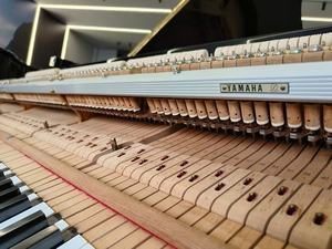 เปียโนแกรนด์ Yamaha G5E สภาพดีเยี่ยม จัดส่งรวดเร็ว งานฝีมือดั้งเดิม สวยงามหรูหรา คีย์เรียบลื่น ผลิตในญี่ปุ่น - Product Image 6