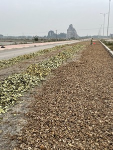 Pulpe d'ananas séchée fermentée pour l'alimentation animale Akina - Product Image 4