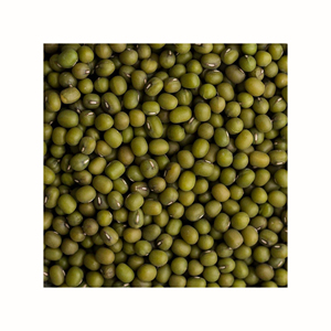 Frijoles Mung verdes pelados orgánicos/Dhal Fresh 2021 cultivo directo de China - Product Image 2