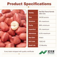 [Testé pour l'aflatoxine] Grains d'arachides rouges en vrac |   24/28 Skin-On |   Conforme à la réglementation européenne 2023/915 |   Fournisseur NIHEWAN