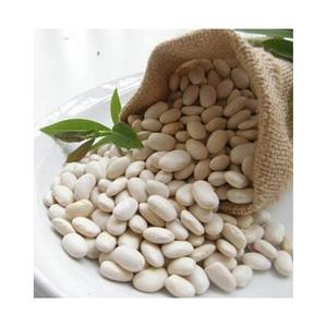 Vente chaude Bonne qualité Santé Long Blanc Sucre Haricots Blancs Secs Haricots Blancs - Product Image 3