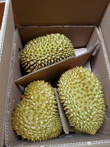Vente en gros de durian congelé de haute qualité à bon prix exporté du Viet Nam - Product Image 2