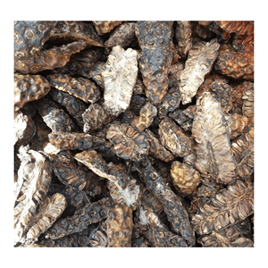 PREMIUM DRIED NONI FRUIT FROM VIETNAM//COMPETITIVE PRICE//HIGH <b>QUALITY</b>//WHOLESALE WORLDWIDE - Product Image 4