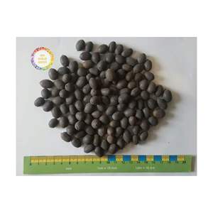 Vietnam Dried Black Lotus Seeds Premium Ingredient For Beverage <b>Dessert</b> And Food Processing Export - Product Image 4