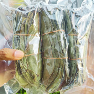 Feuilles de corossol séchées de haute qualité-Standard microbien sûr et feuilles de corossol séchées de couleur naturelle fraîche pour l'exportation - Product Image 1