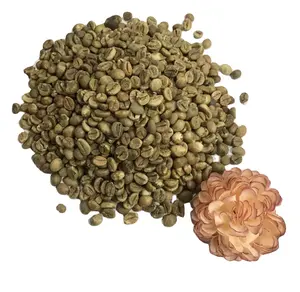 녹색 커피 콩 arabica와 robusta 최고의 품질 볶은 Robusta 커피 콩 학년 1 최고의 커피 콩 100% 구매