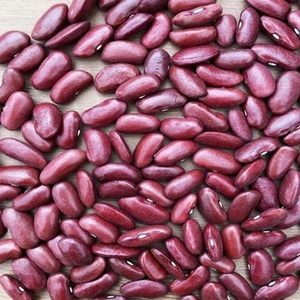 Hot Discounts Bulk 25kg Dried Dark Red Kidney Bean Long Shelf Life London - Product Image 5